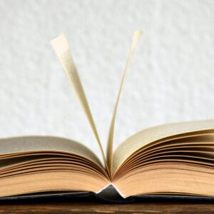Fiction and Literature